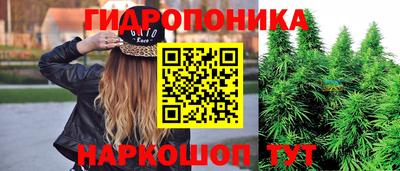 прущая мука Сланцы