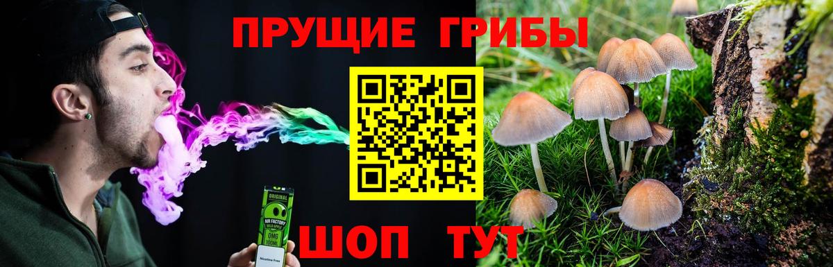 Псилоцибиновые грибы GOLDEN TEACHER Печора